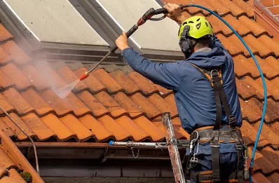 Démoussage et hydrofuge de toiture à Domessin